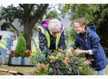 Gardenforum News - Around the Country - RHS Britain in Bloom ...