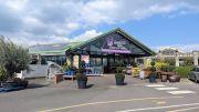 Monkton Elm Garden Centre