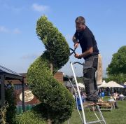 Henchman celebrates 30th birthday with live topiary