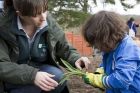 RHS gardener helps child with planting at RHS Wisley