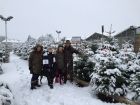 Snow affected Christmas Tree sales