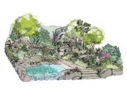 The SongBird Survival Garden, designed by Nicola Oakey